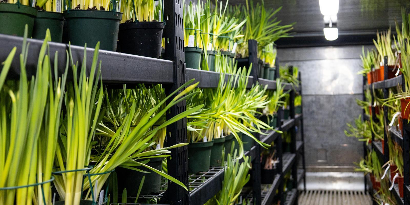 IMG_9630 (1).jpg (254 KB)